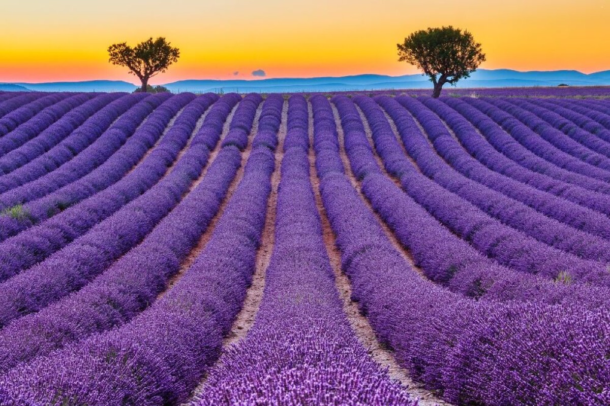 european summer which destinations to visit month by month