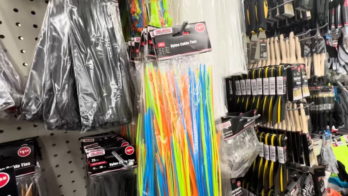 shop at dollar tree with me budget travel packing hacks youll love
