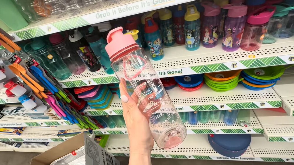shop at dollar tree with me budget travel packing hacks youll love