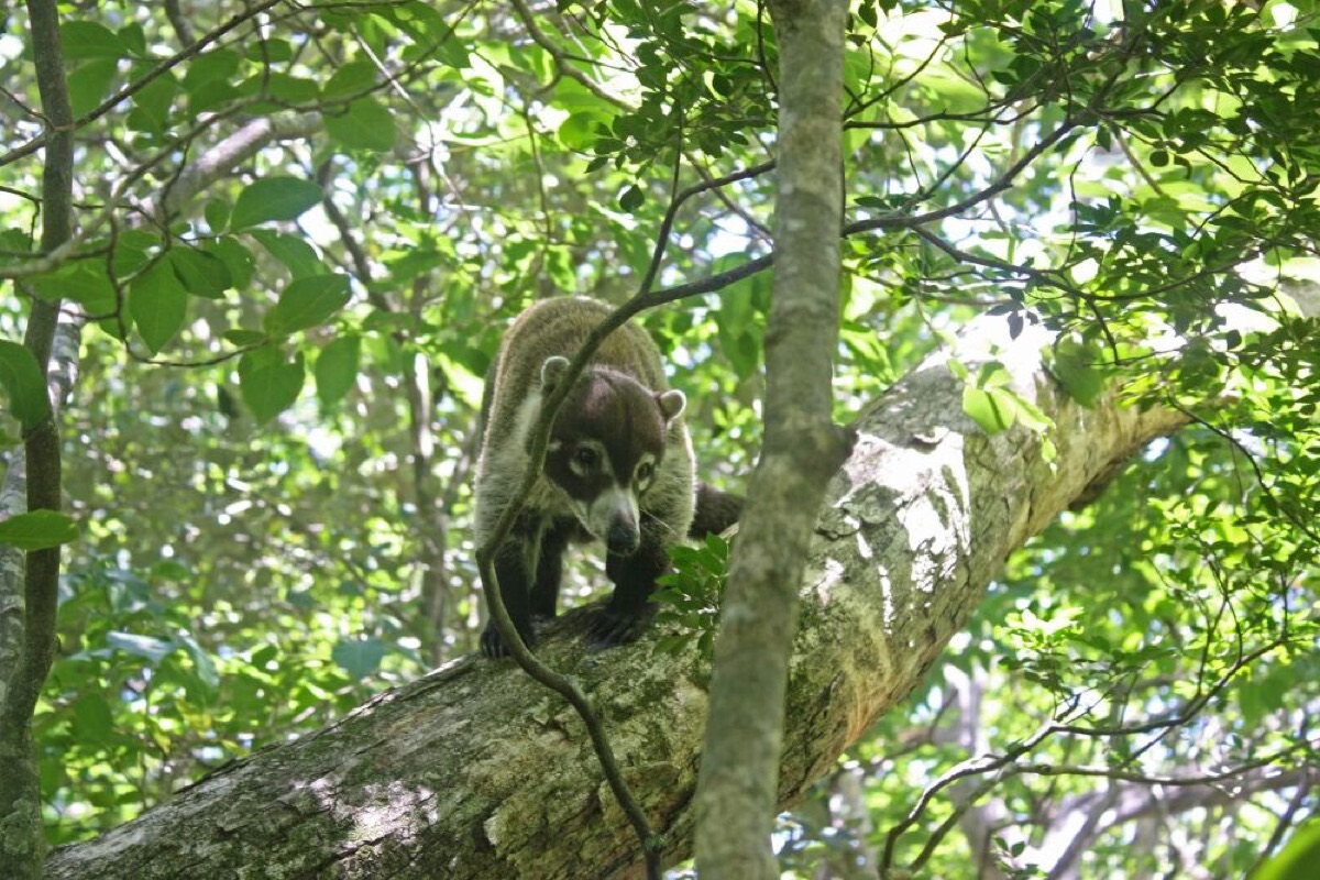 top 10 beautiful places to visit in costa rica in 2025
