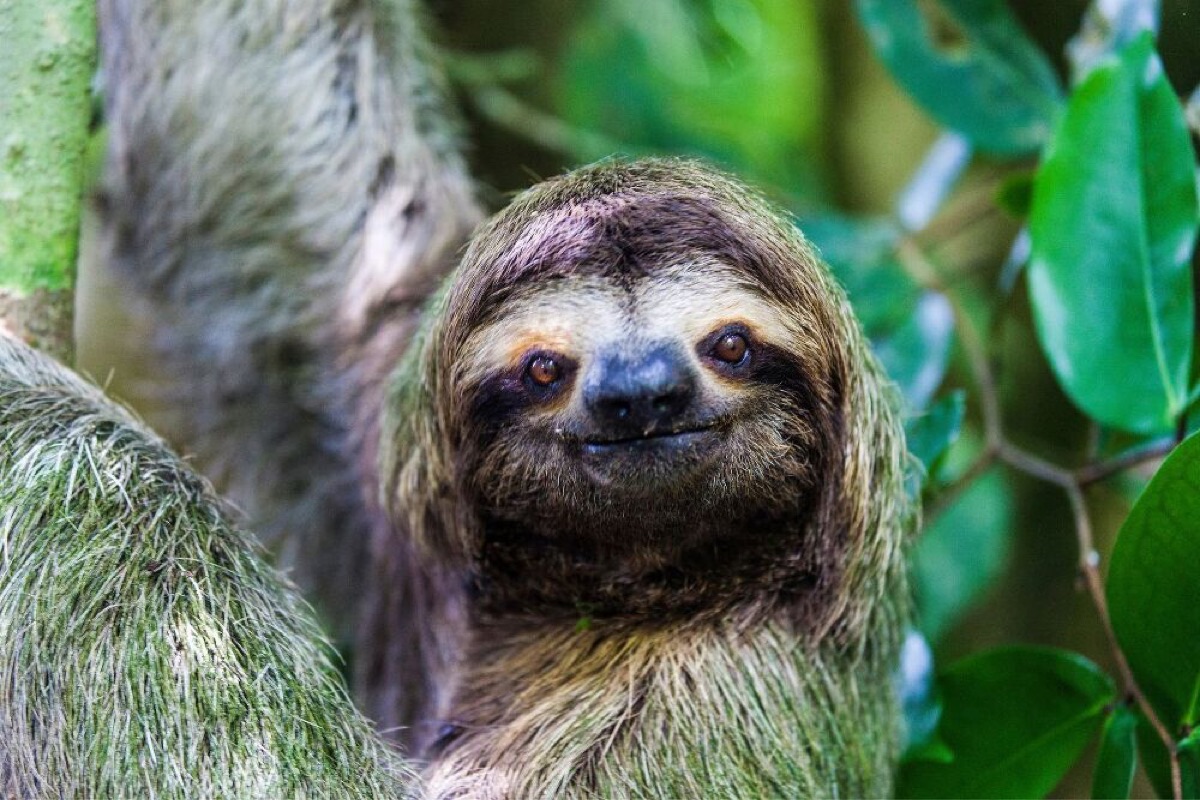top 10 beautiful places to visit in costa rica in 2025