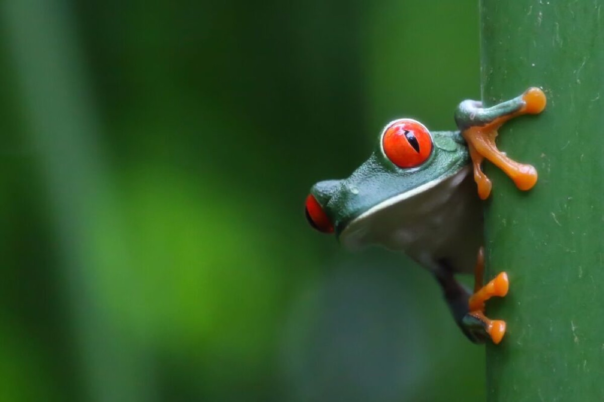 top 10 beautiful places to visit in costa rica in 2025