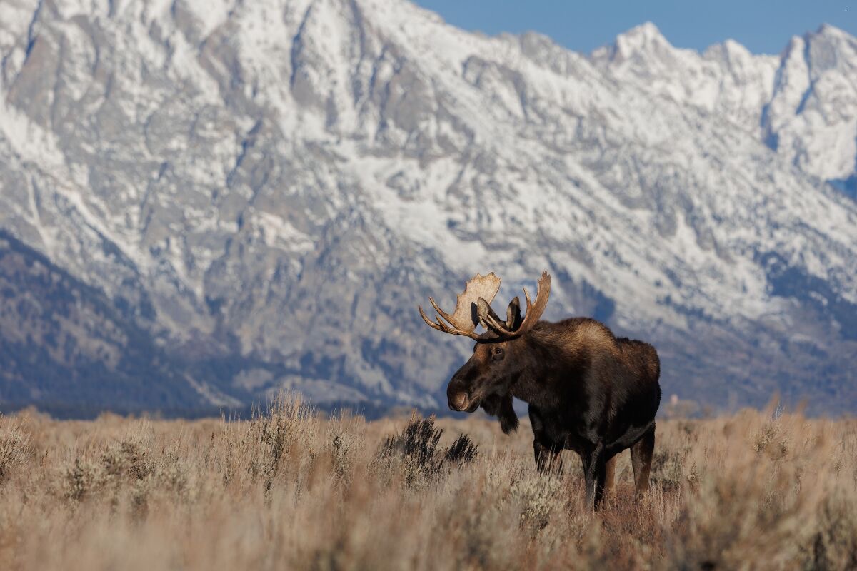 Which National Park When: The Best U.S. Parks to Visit for Each Month
