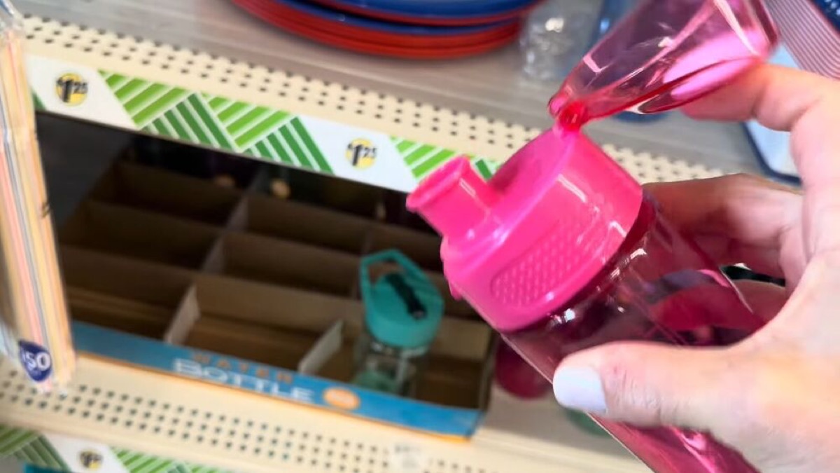 Dollar Tree travel essential